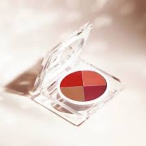 NEW RMS Beauty flirtation of color lip pallete in box without lip brush